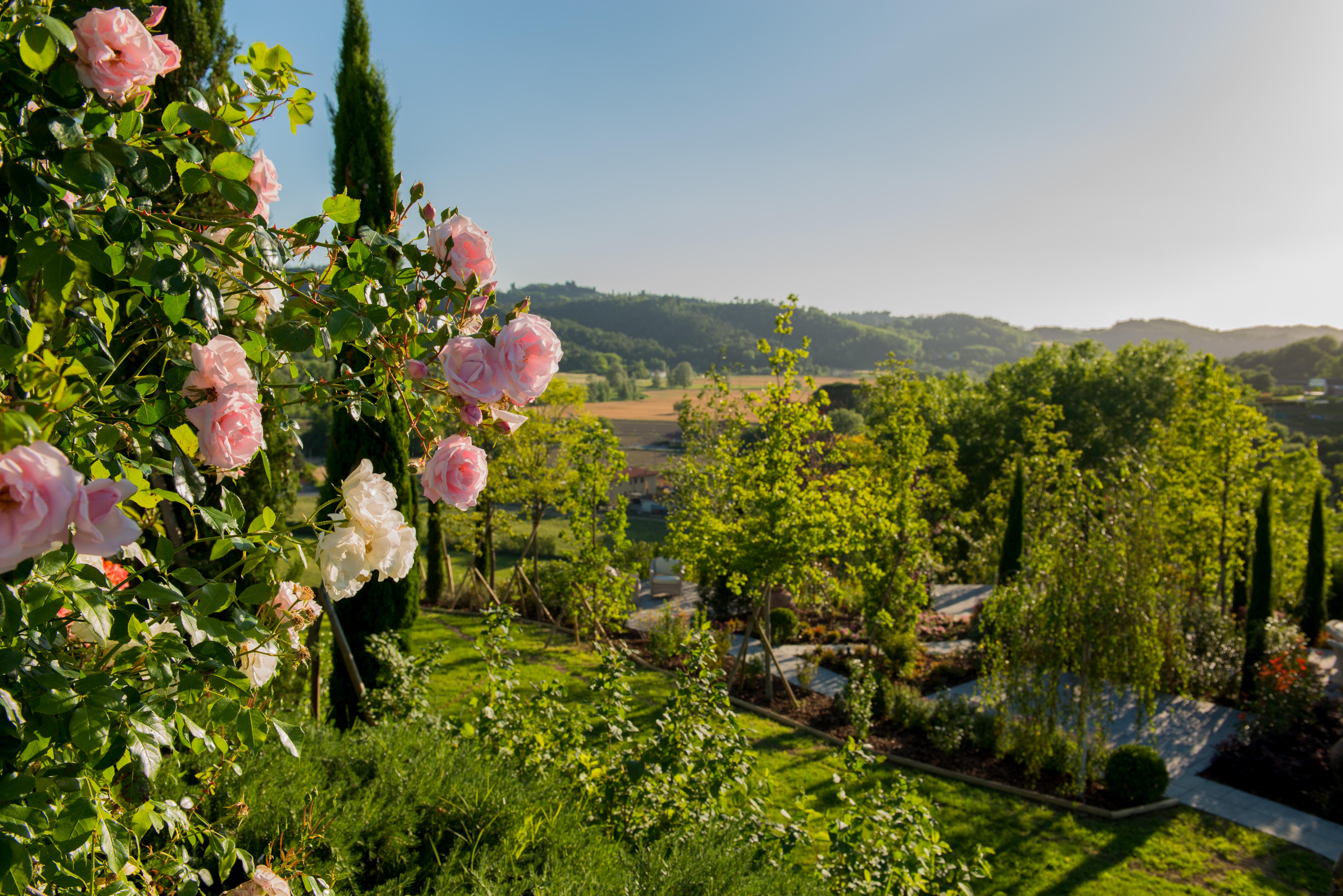 Relais Sassa Al Sole Hotel ซานมีเนียโต ภายนอก รูปภาพ